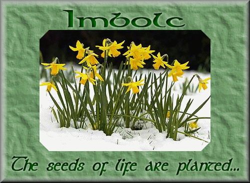 Imbolc Seeds